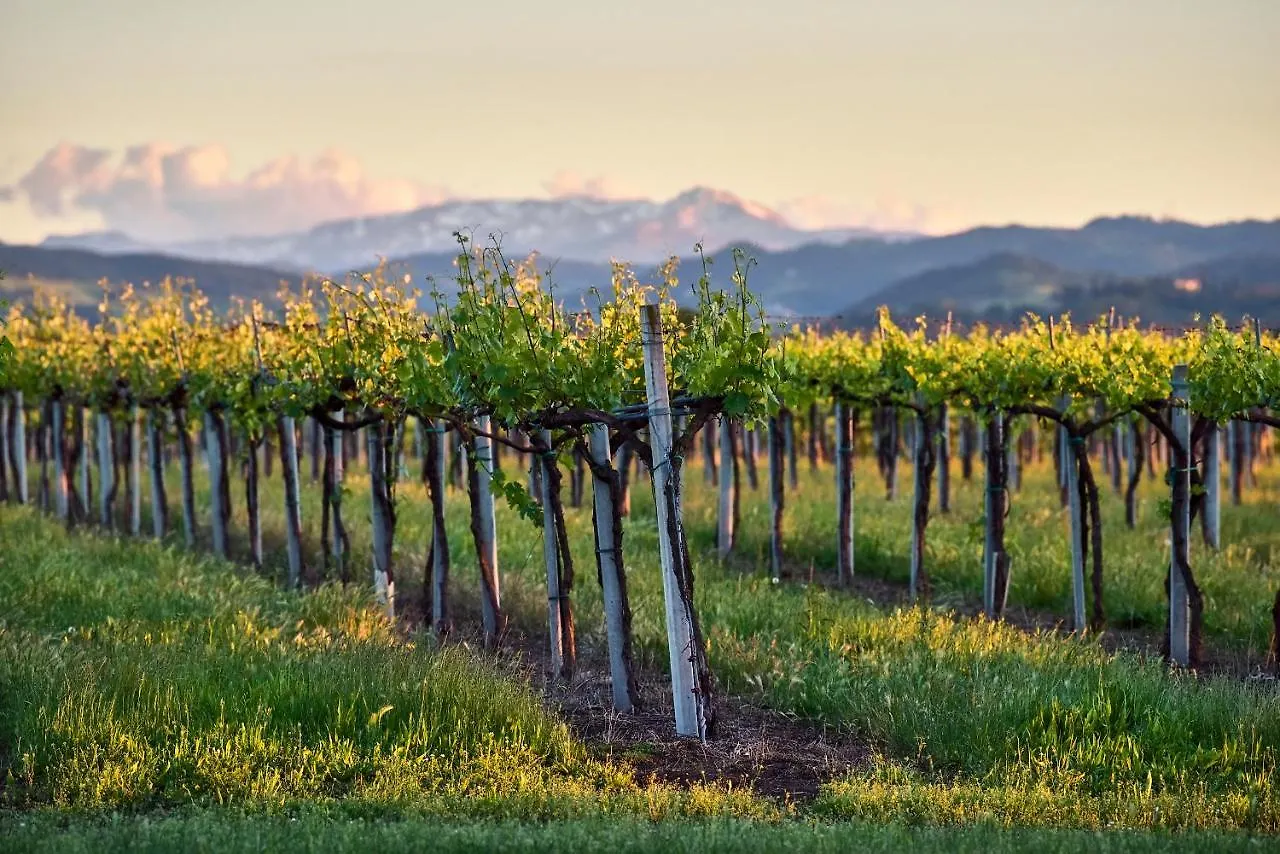 Antico Podere Emilia Reggio Emilia