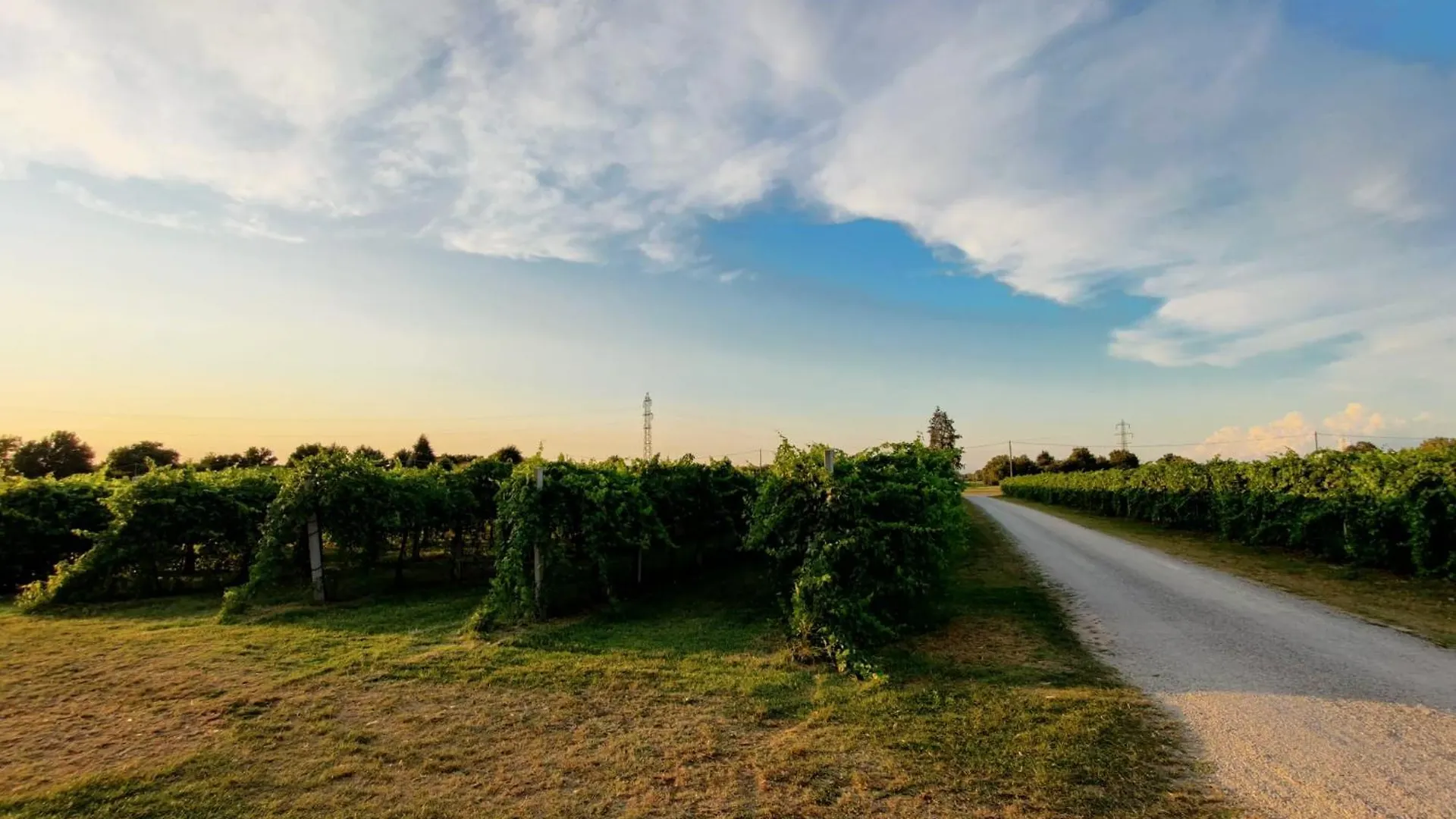 Farm stay Antico Podere Emilia Reggio Emilia